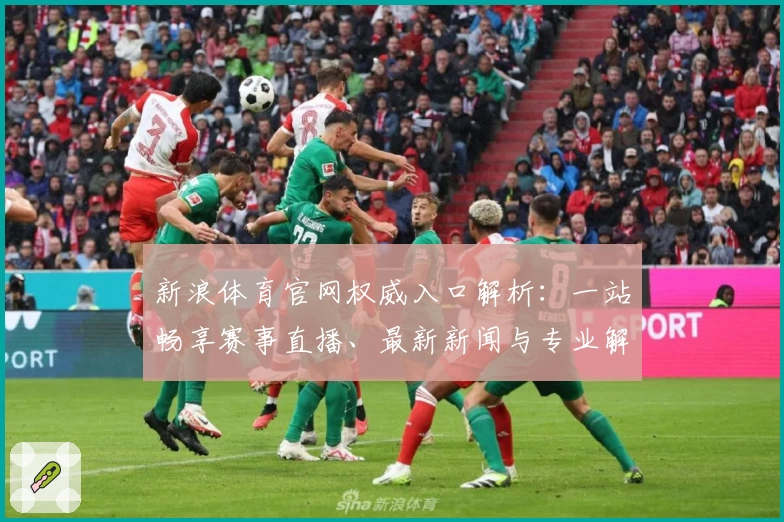 新浪体育官网权威入口解析：一站畅享赛事直播、最新新闻与专业解读