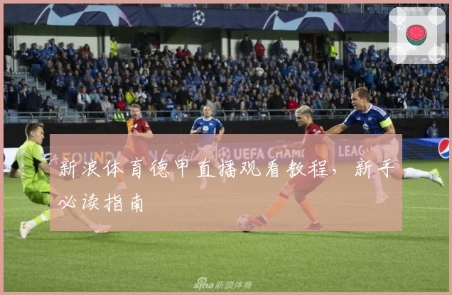 新浪体育德甲直播观看教程，新手必读指南