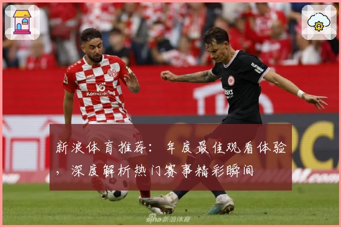 新浪体育推荐：年度最佳观看体验，深度解析热门赛事精彩瞬间