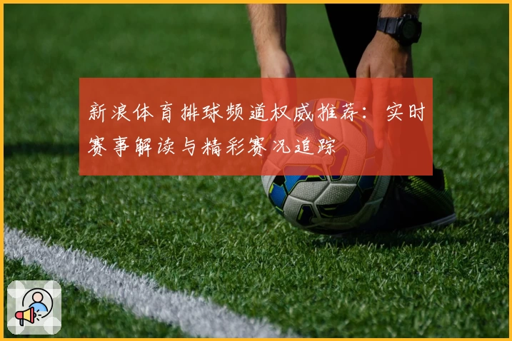 新浪体育排球频道权威推荐:实时赛事解读与精彩赛况追踪