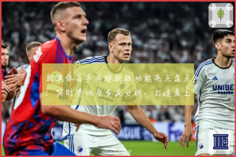 新浪体育乒乓球新版功能亮点盘点：实时资讯与专业分析，打造桌上竞技新体验