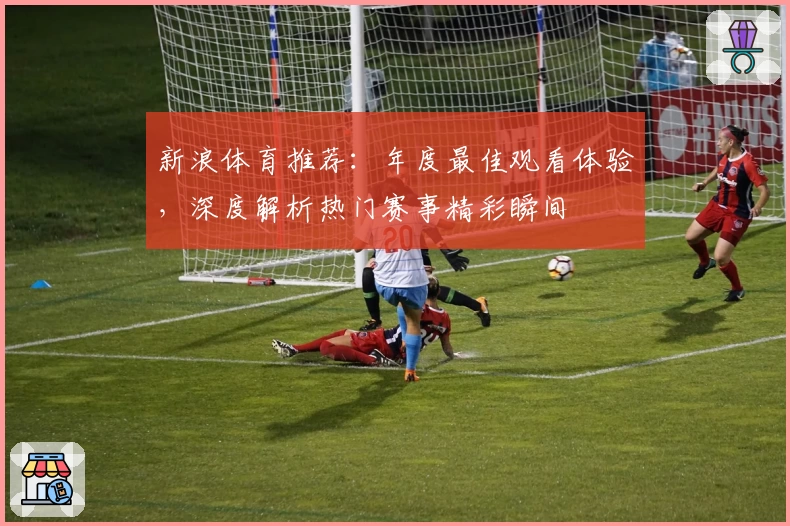 新浪体育推荐：年度最佳观看体验，深度解析热门赛事精彩瞬间