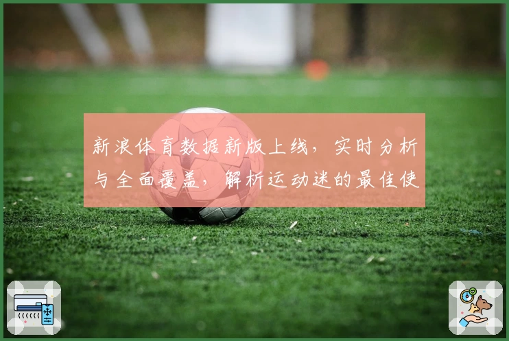 新浪体育数据新版上线，实时分析与全面覆盖，解析运动迷的最佳使用体验