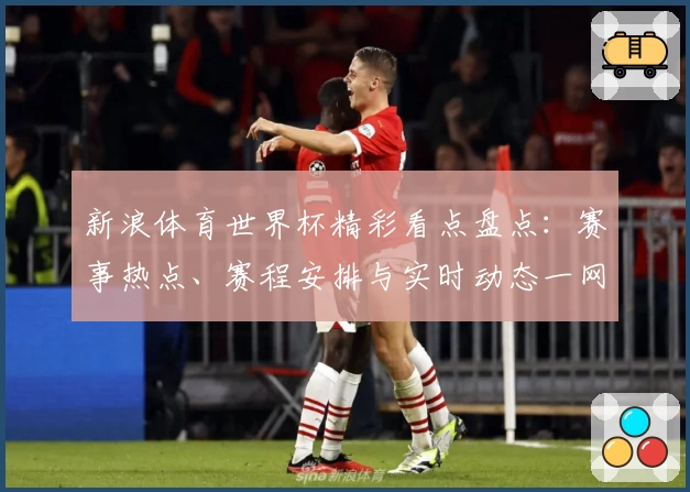 新浪体育世界杯精彩看点盘点：赛事热点、赛程安排与实时动态一网打尽