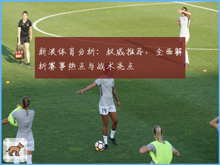 新浪体育分析：权威推荐，全面解析赛事热点与战术亮点
