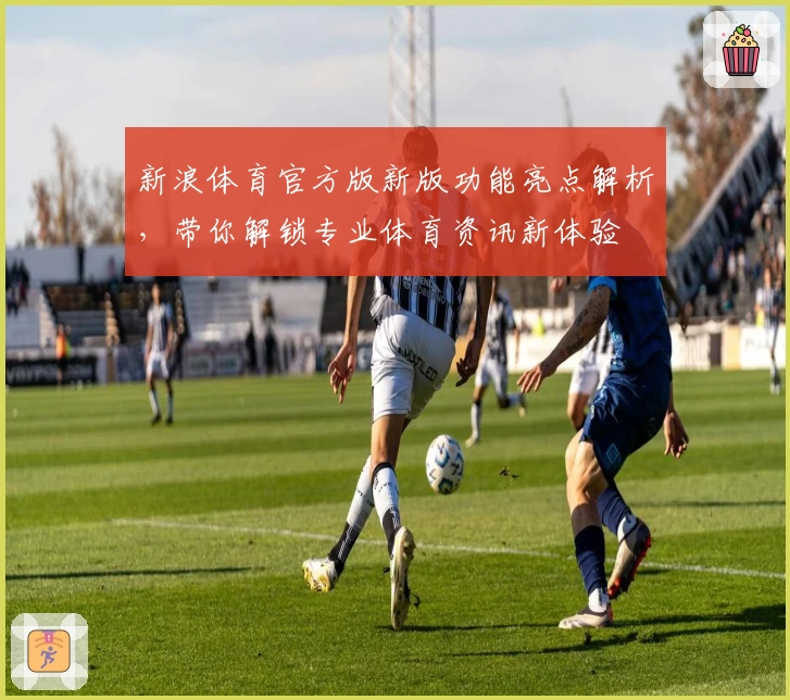 新浪体育官方版新版功能亮点解析，带你解锁专业体育资讯新体验
