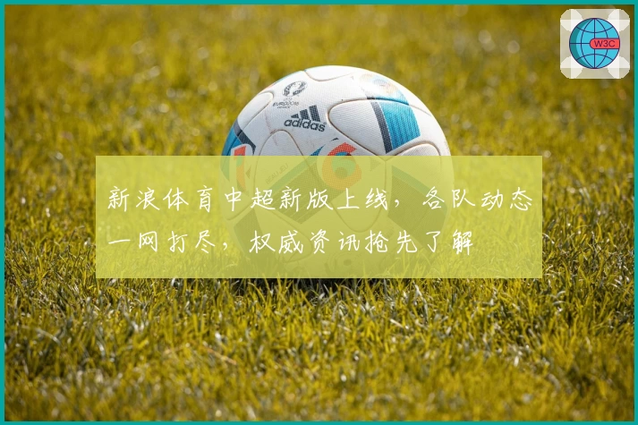 新浪体育中超新版上线,各队动态一网打尽,权威资讯抢先了解