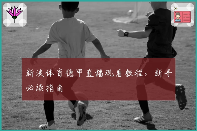 新浪体育德甲直播观看教程，新手必读指南