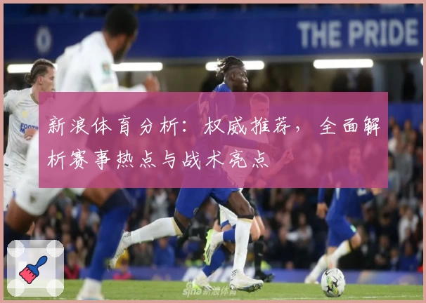 新浪体育分析：权威推荐，全面解析赛事热点与战术亮点