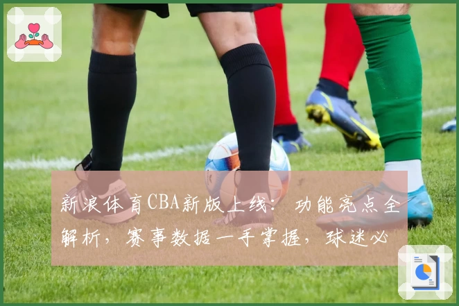 新浪体育CBA新版上线：功能亮点全解析，赛事数据一手掌握，球迷必备指南